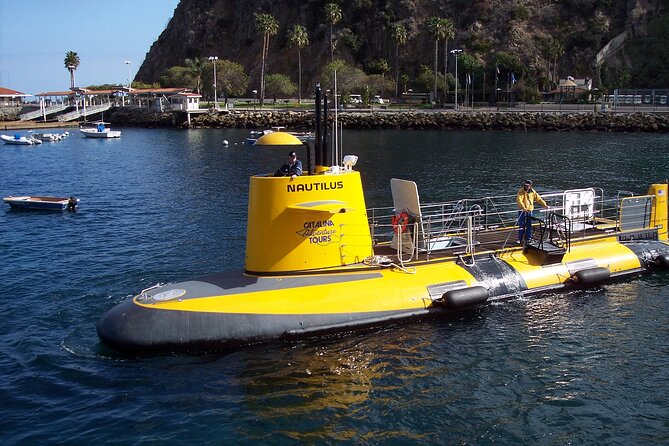 Yellow Semi-Submarine Tour of Catalina Island From Avalon - Making the timing work on Catalina