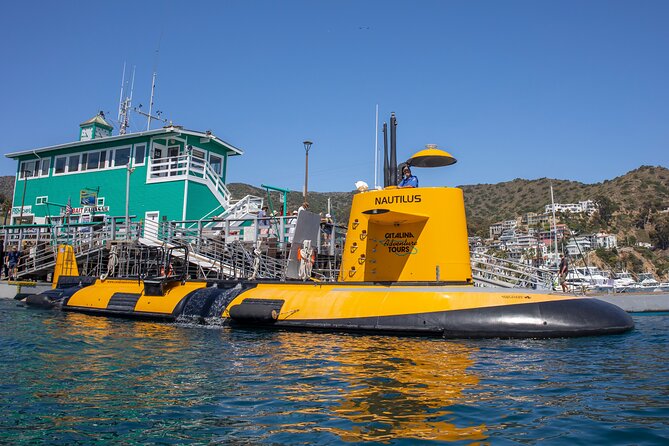Yellow Semi-Submarine Tour of Catalina Island From Avalon - Who should book this ride?