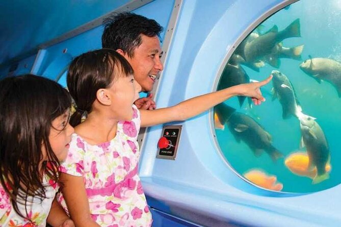 Yellow Semi-Submarine Tour of Catalina Island From Avalon - From the Green Pier to Lovers’ Cove